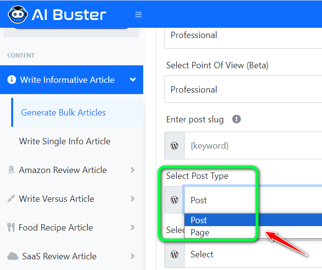 Publish Post Page Type